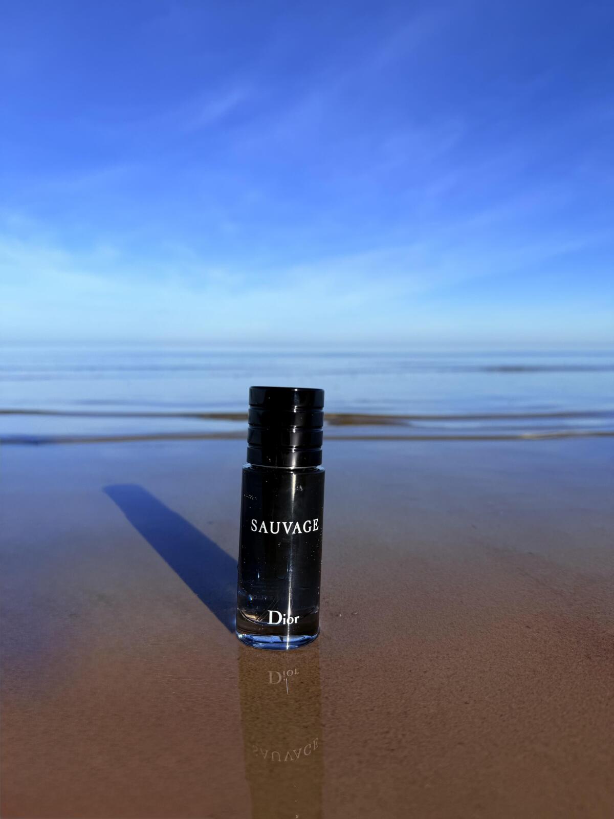 🏆 Trío – Boss Unlimited, Bleu de Chanel & Sauvage 🏆